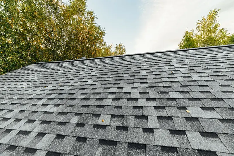 Composition Shingle Roof Replacement